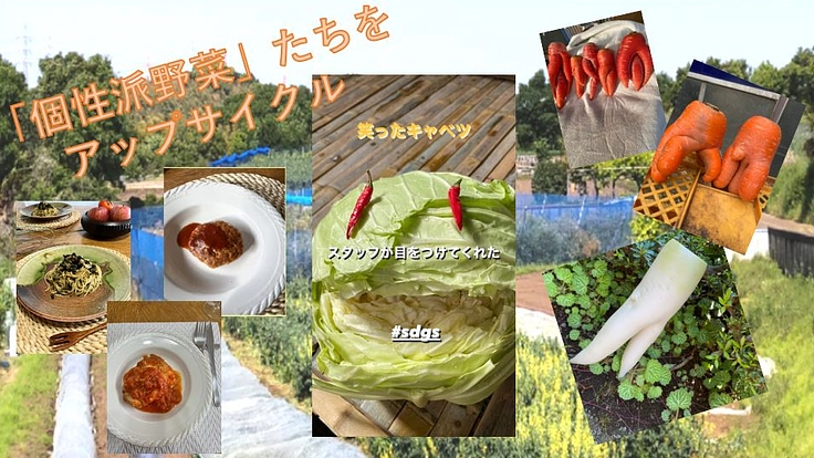 「みんなシアワセ」を目指す！食品ロス削減と農福連携の地域貢献