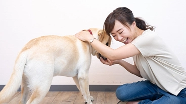保護犬も一緒に幸せに暮らす障がい者グループホームの実現 のトップ画像