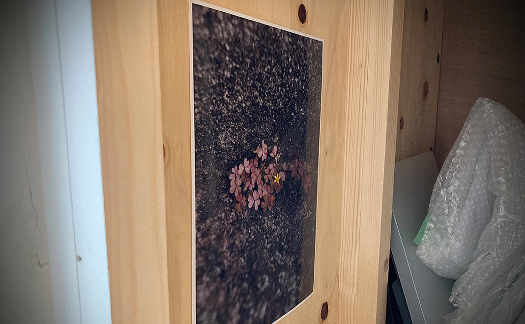 展示壁面裏にあなたの作品を！