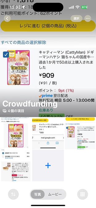 6月の収支報告です