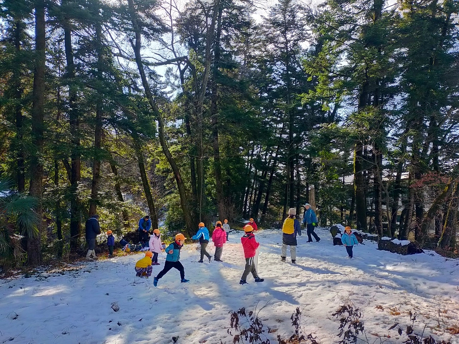 【森のお便り2月号】雪の森と補強工事進捗