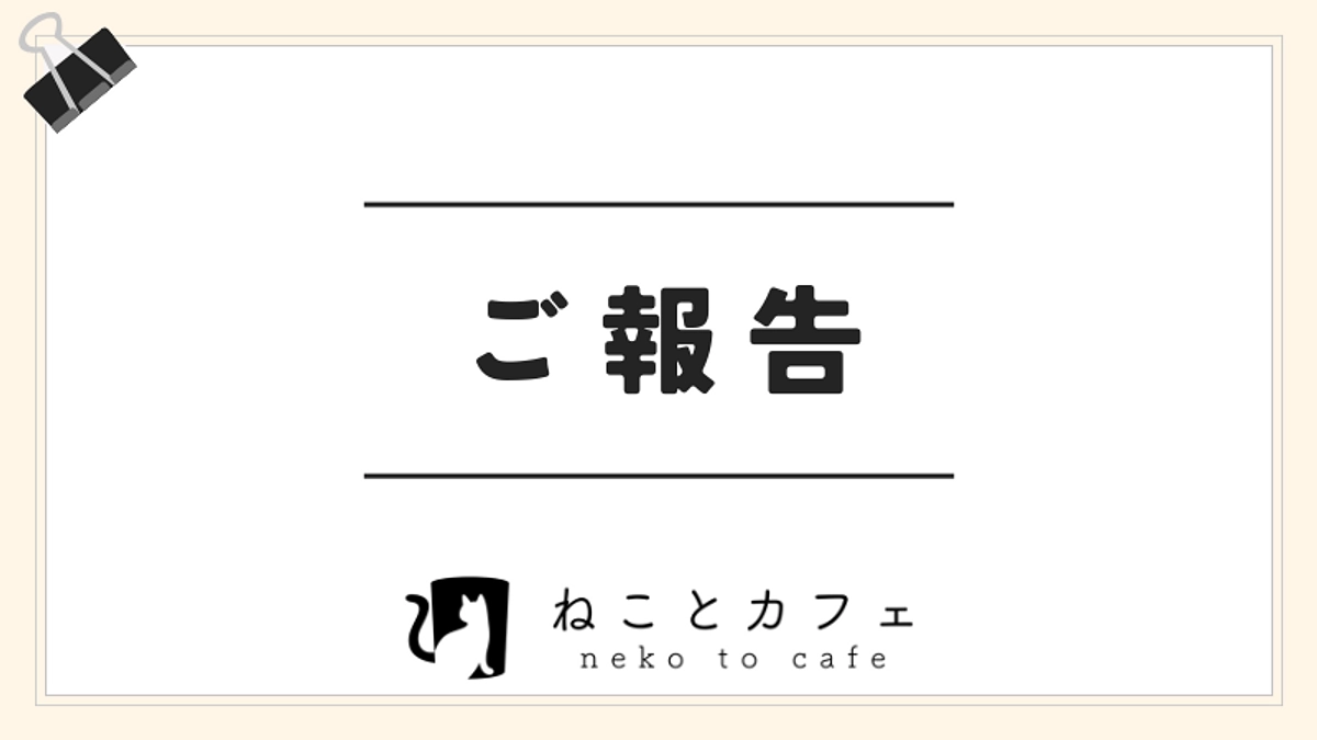 あれから半年｜ご報告や行き届いているかのご確認をお願い致します