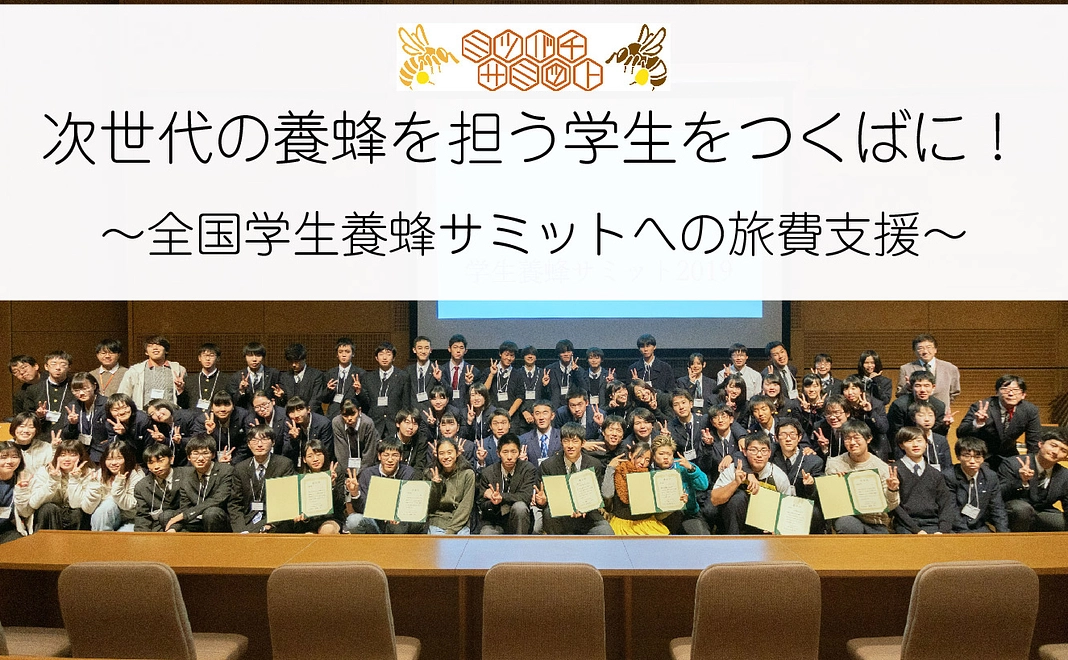 寄付コースB 感謝のメール・報告書pdf