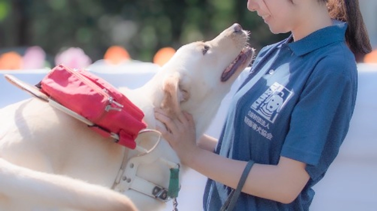 大切な君たちを偲ぶ