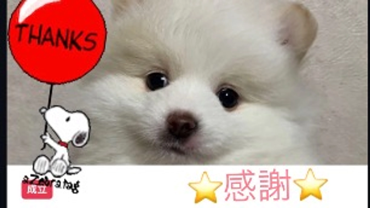 💖ありがとうございました💖