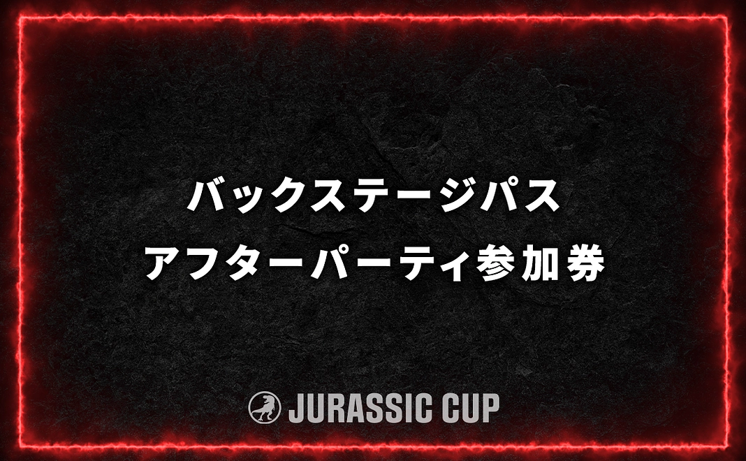 【VIP席チケット付き/限定5枠】バックステージパス＋アフターパーティ参加(大会翌日)