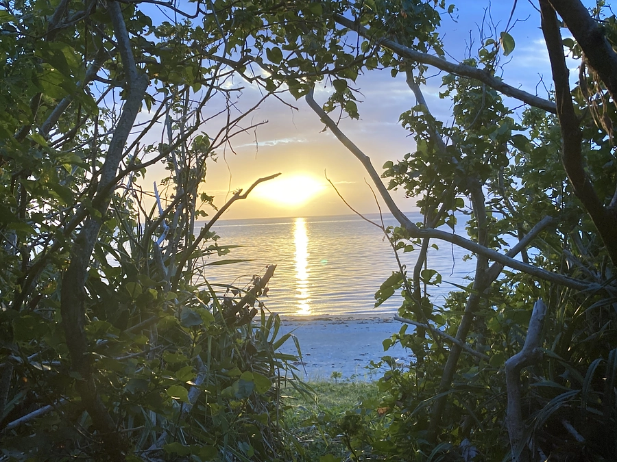 ありがとう😃ございます！コツコツやっていまーす。