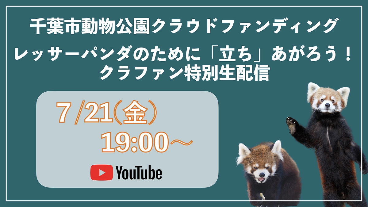 【7月21日19時〜】レッサーパンダのために「立ち」あがろう！クラファン特別生配信を実施します！