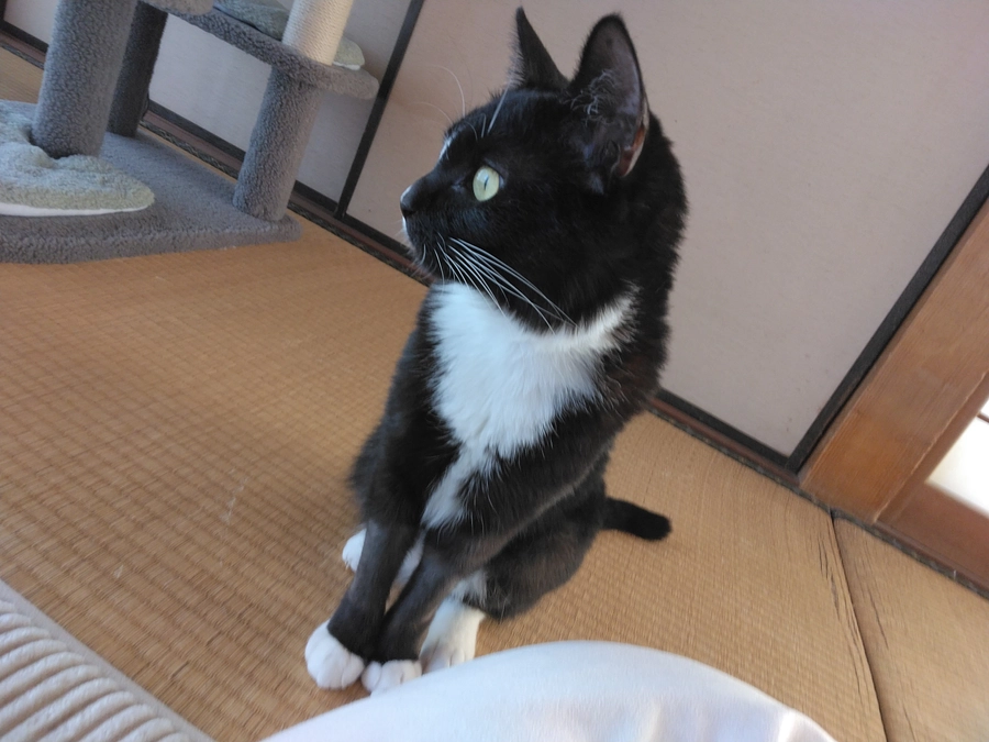 1/13はなちゃんの様子