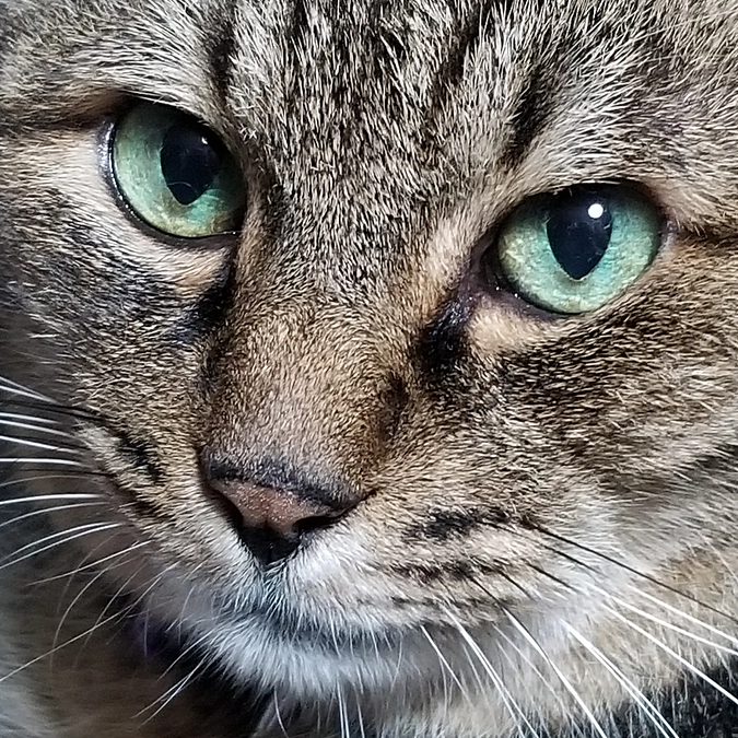 ありがとうございました。