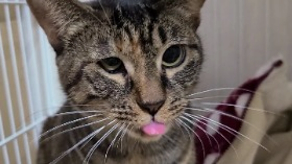 現在のご報告。