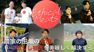 農家の田畑の危機！いのしし被害を美味しく解決したい！ のトップ画像