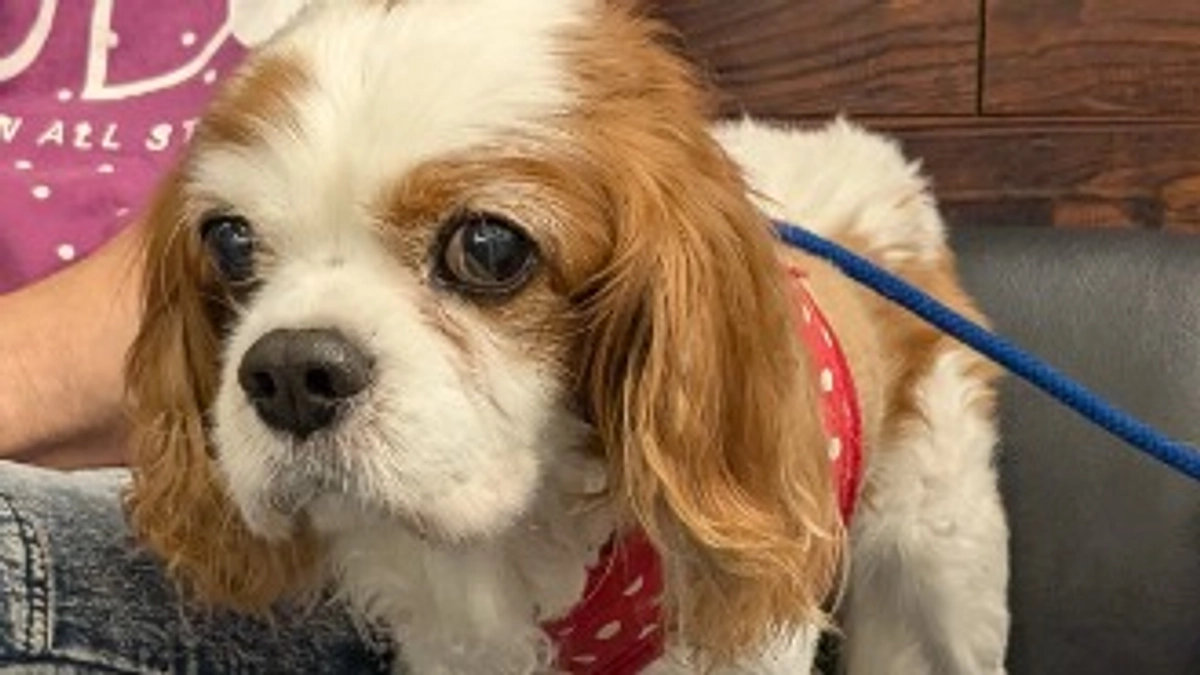 一ヶ月検診に行ってきました