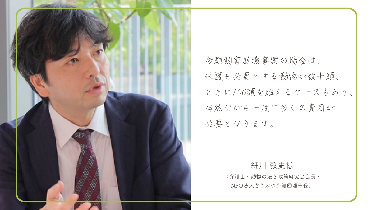 細川 敦史様（弁護士・動物の法と政策研究会会長・どうぶつ弁護団理事長）からのメッセージのご紹介！