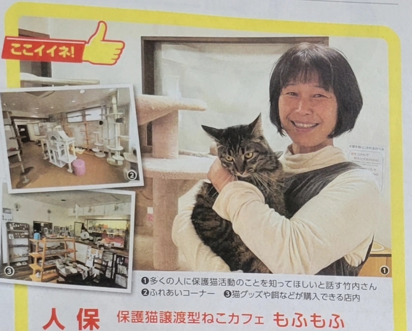 中日新聞 Syun様に掲載して頂きました