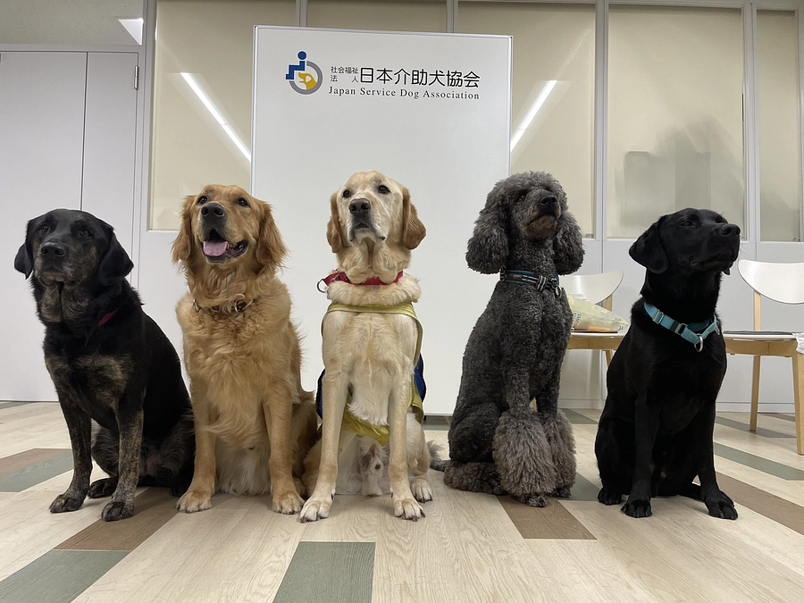 7月21日(月祝) 本部 犬預かりボランティア＆WithYouプロジェクト説明会を開催します！