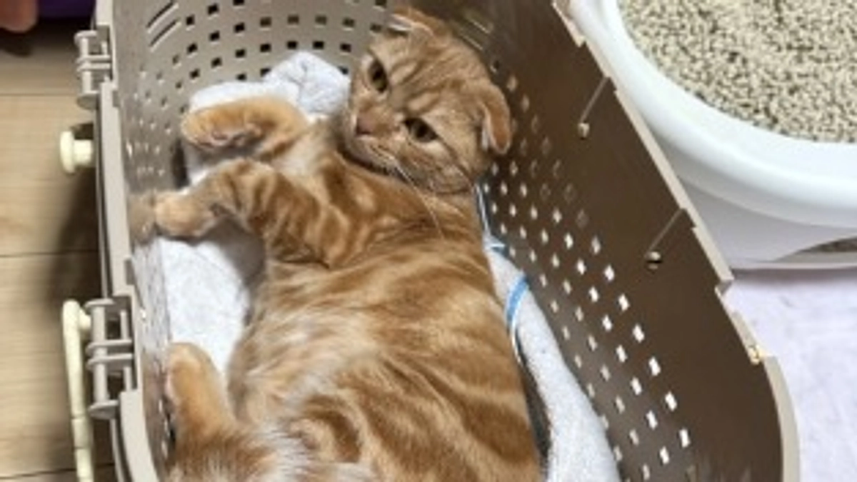 ふうの最近のお気に入りの場所