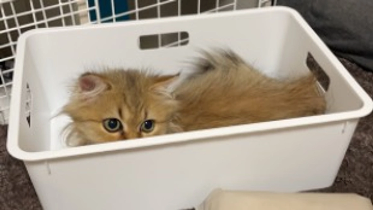 急に寒くなり、、、