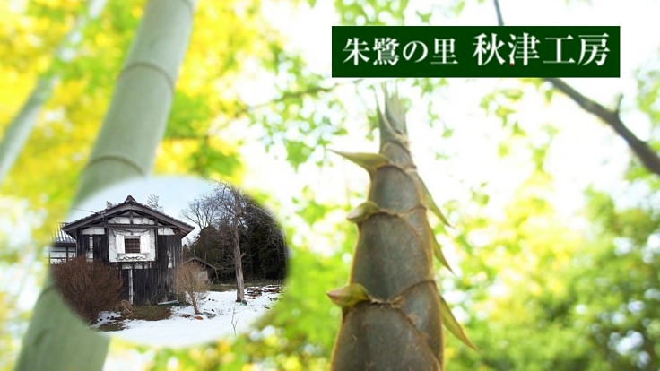 築100年の蔵を改築して、歴史を繋ぎたい！