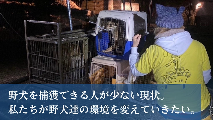 人知れず消えていく命をゼロに。悲願「野犬の保護シェルター」新設へ