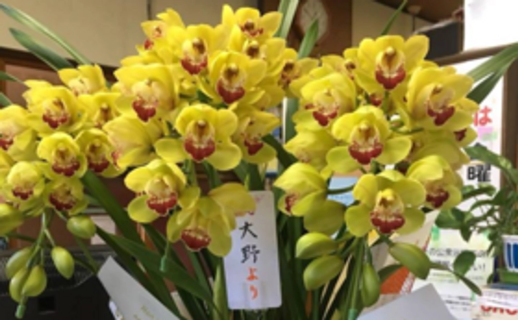 【並木湯再開支援コース】