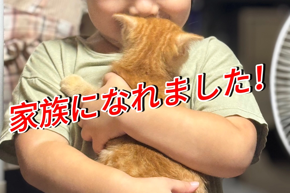 無事に本譲渡ができました。