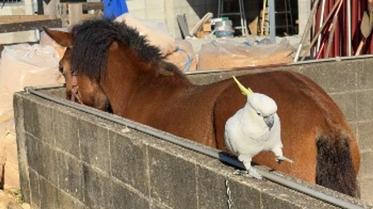 新年あけましておめでとうございます！