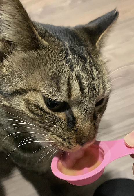 16日目＊達成10日目