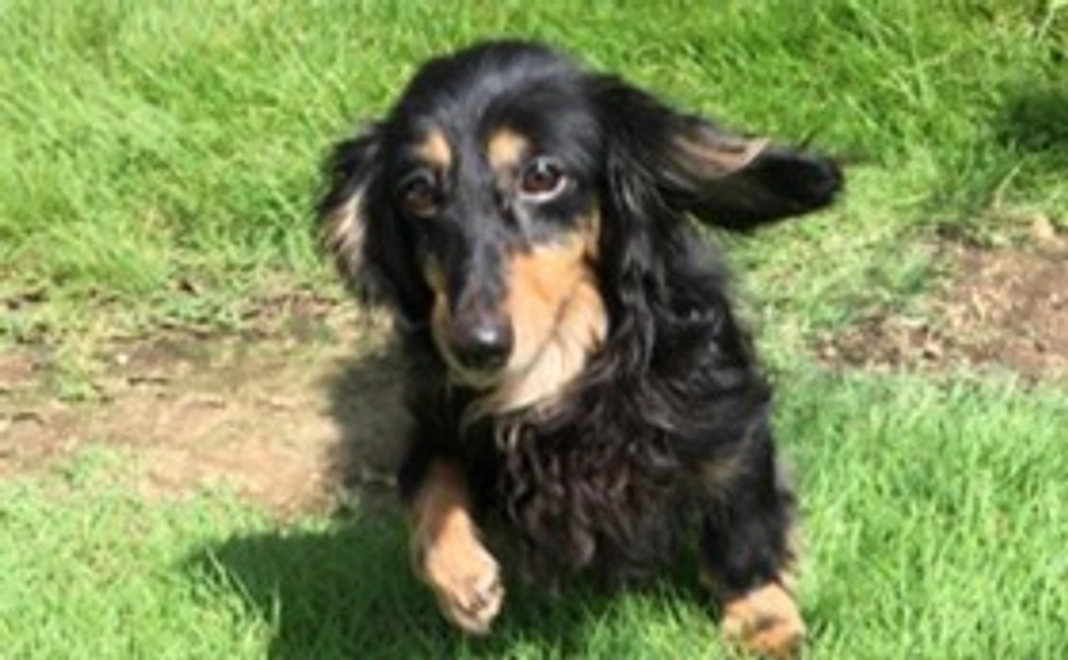 毎月500円で継続支援コース（一般個人向け）　　　【はぐくみパートナー1】