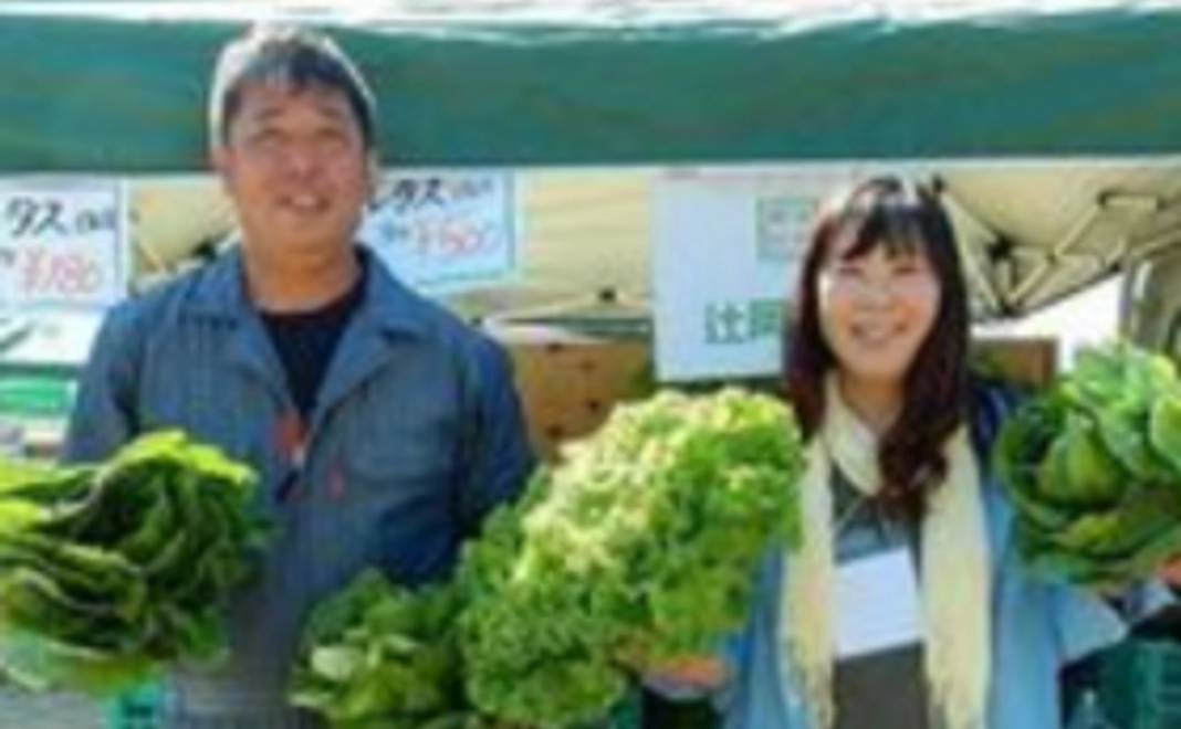 返礼品なし、サンクスレターのみ。辻岡農園を応援プラン