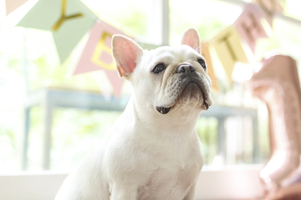 拡散希望のためSNS始めました