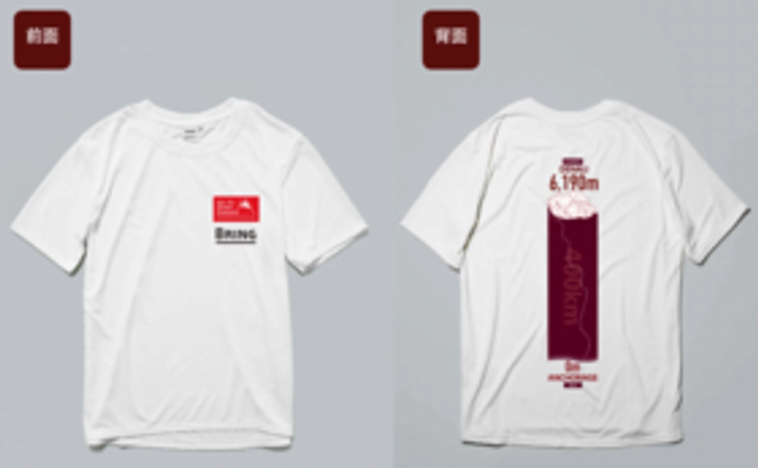 デナリ遠征オリジナルTシャツ