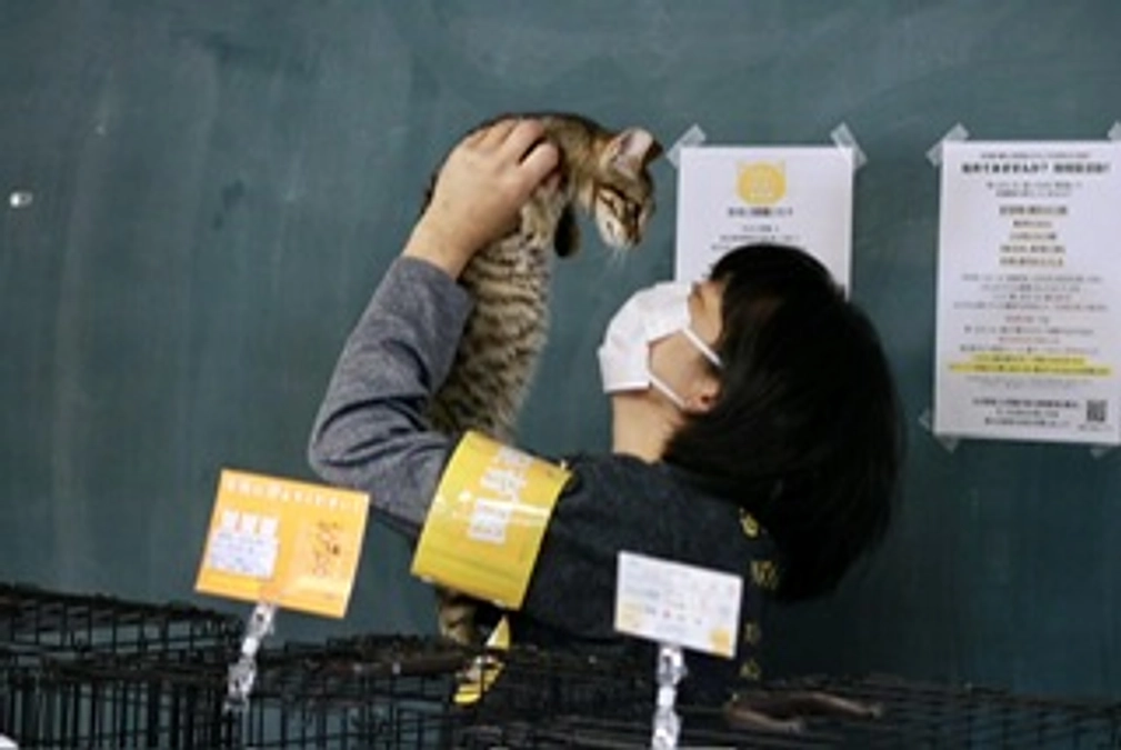 ボランティア リレー ㉓