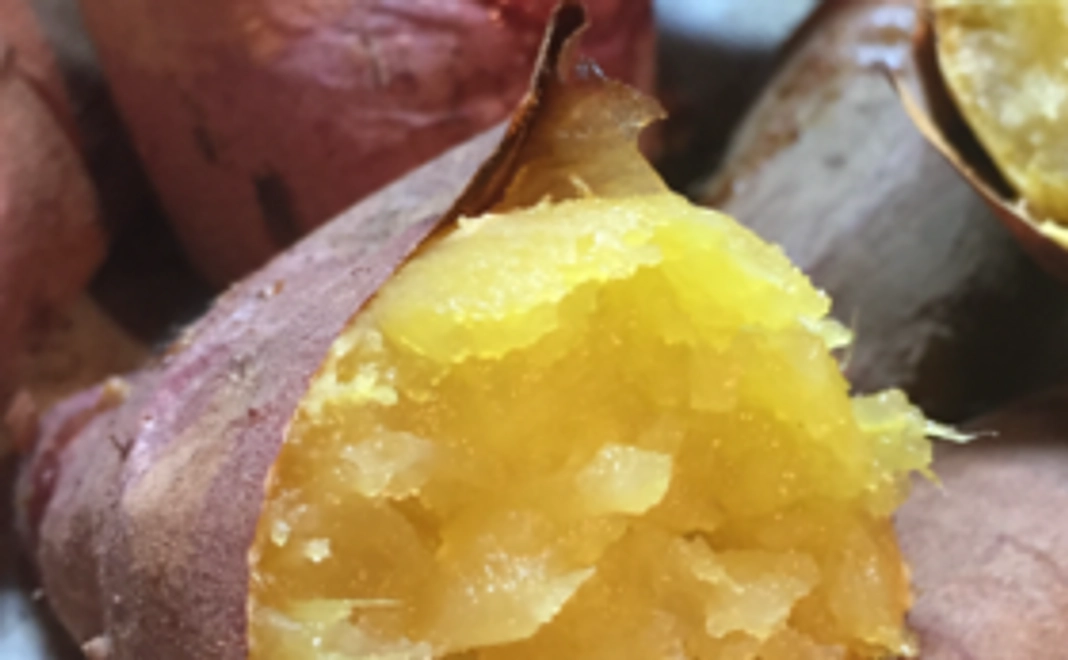 鹿児島県のサツマイモ