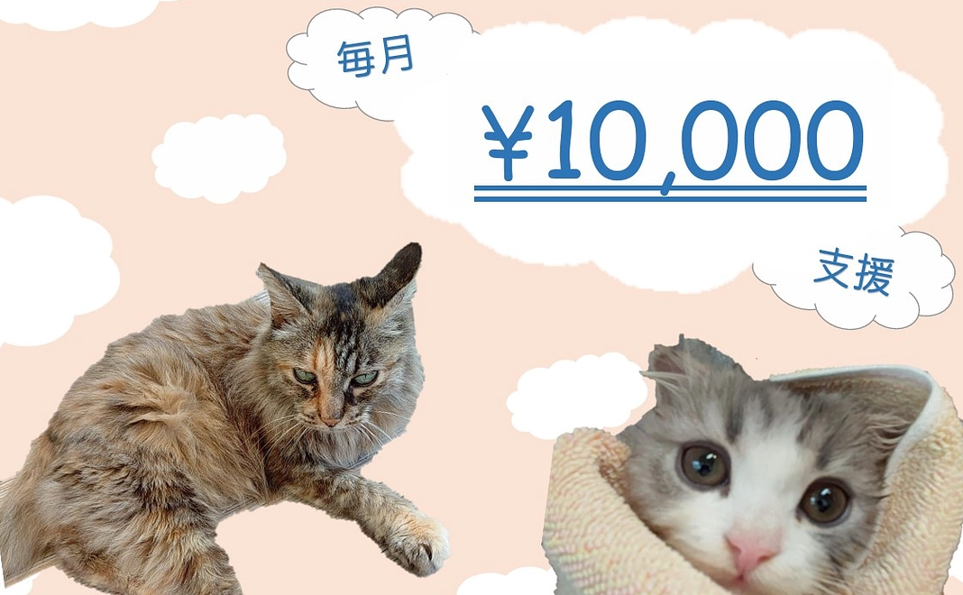 毎月10000円コース