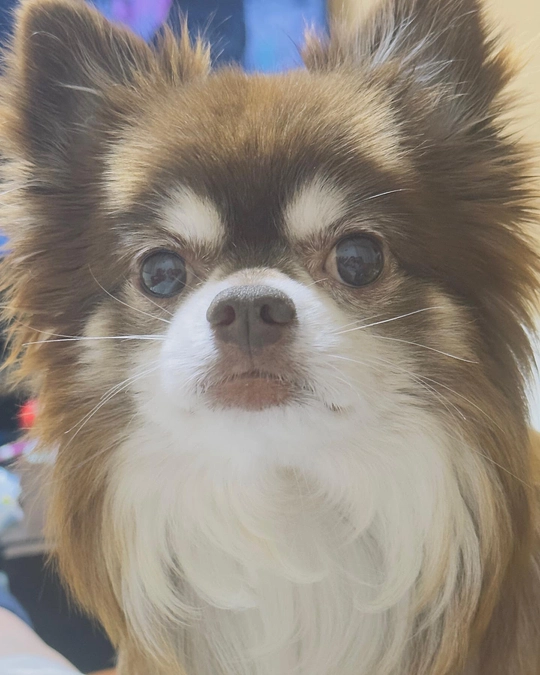 ストレスで下痢になってしまいました😭