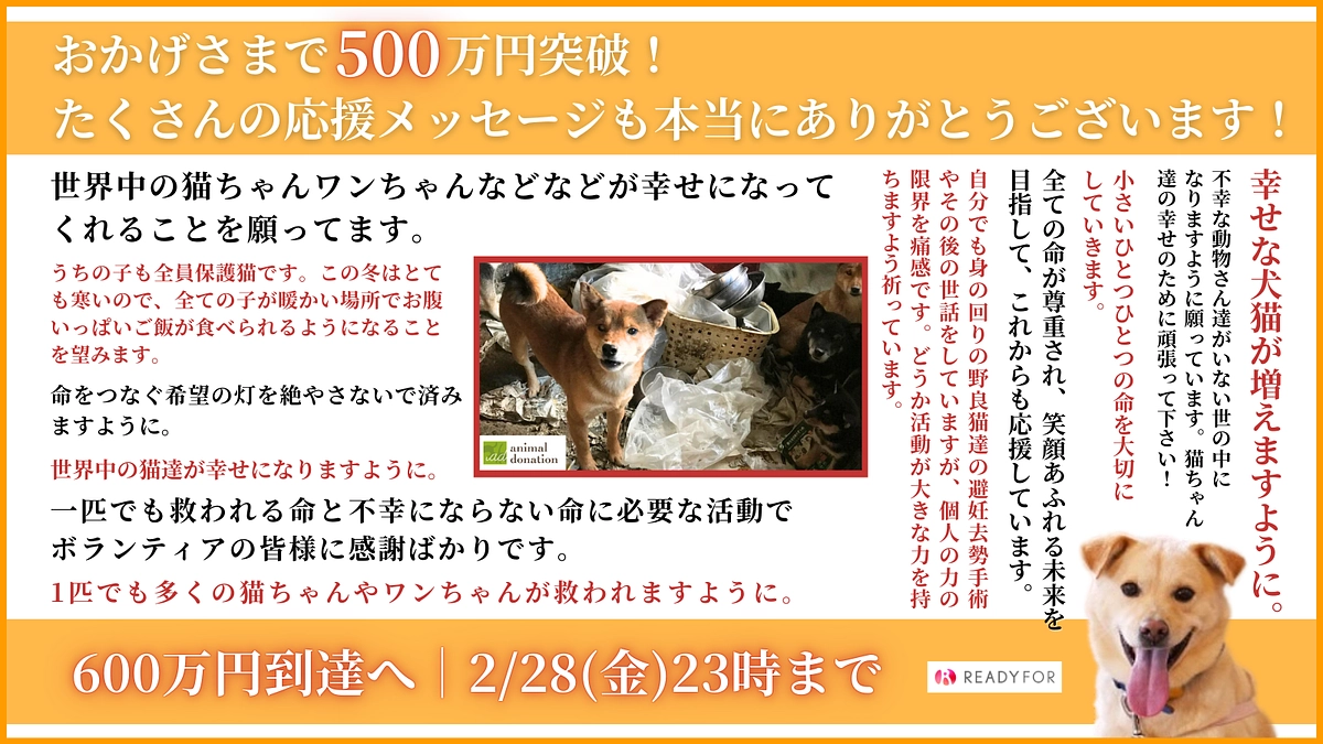 【あと7日！】第二目標達成のお礼と最終目標600万円への挑戦について