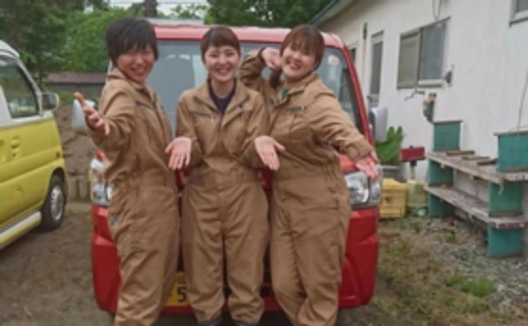 マイクロベジボックスプラン