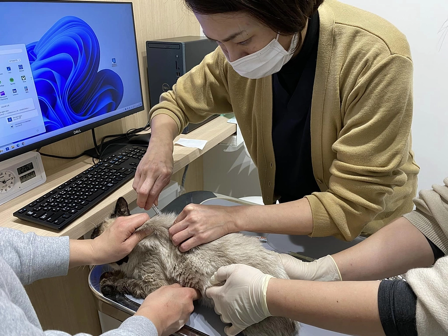 デンタルドネーションのご報告