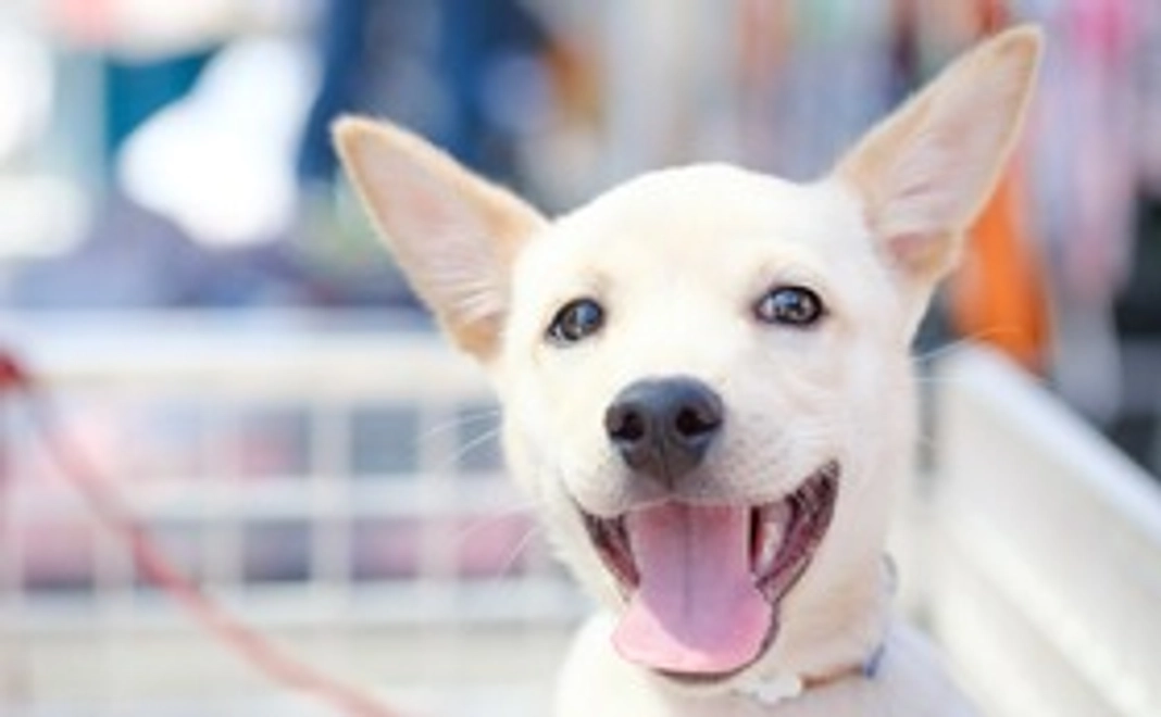 全力応援【10,000円】コース