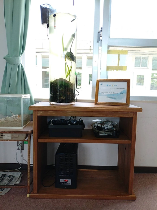 ウミショウブ水槽の台が新しくなりました！