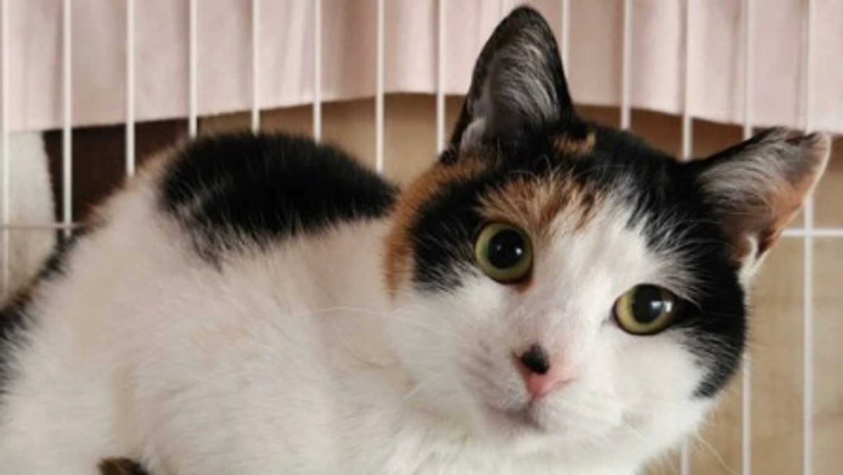 🌸25年　4月のご報告🌸