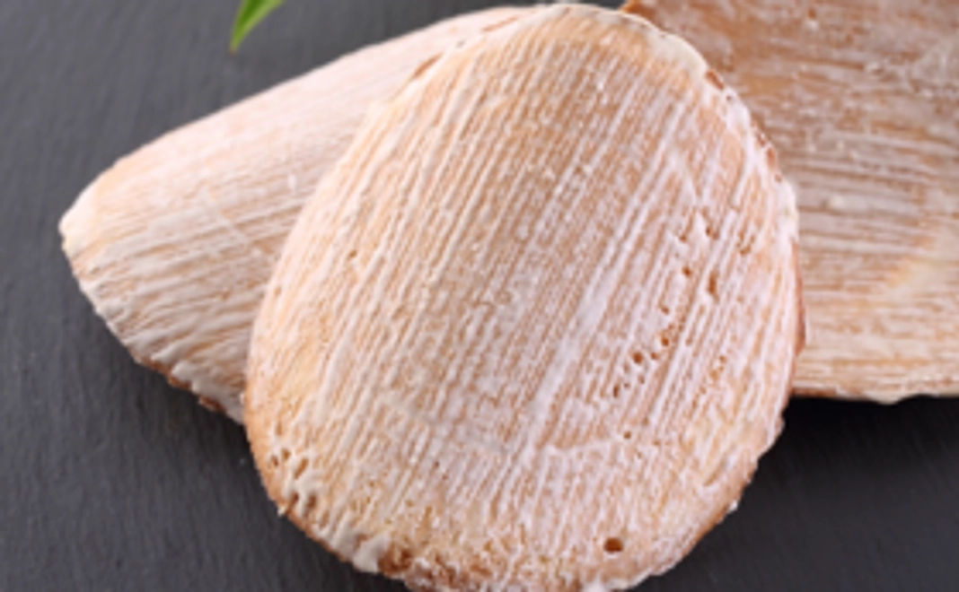 ポストカードとお写真と銘菓「臼杵煎餅」