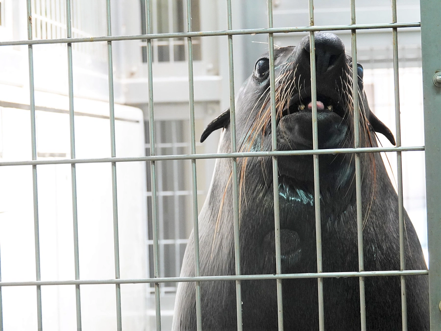 工事が始まりました！