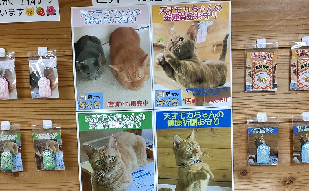 毎月応援 3,000円コース