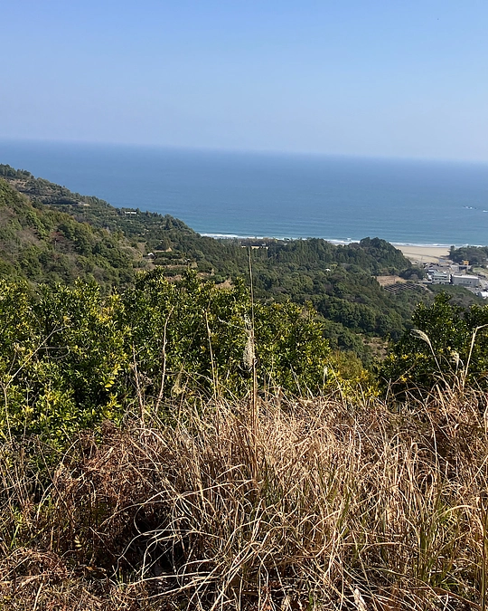 3/16(土)現地踏査