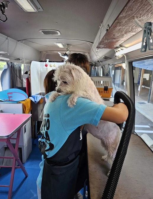 能登半島地震　災害動物支援活動のご報告