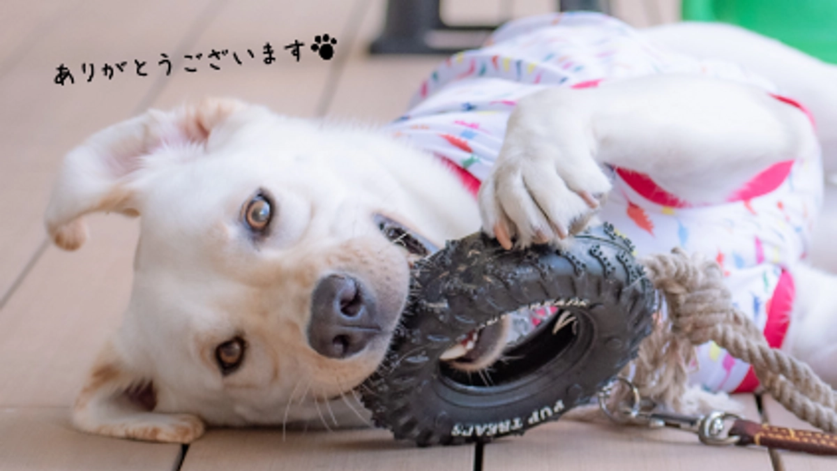 達成のお礼とネクストゴールのご案内