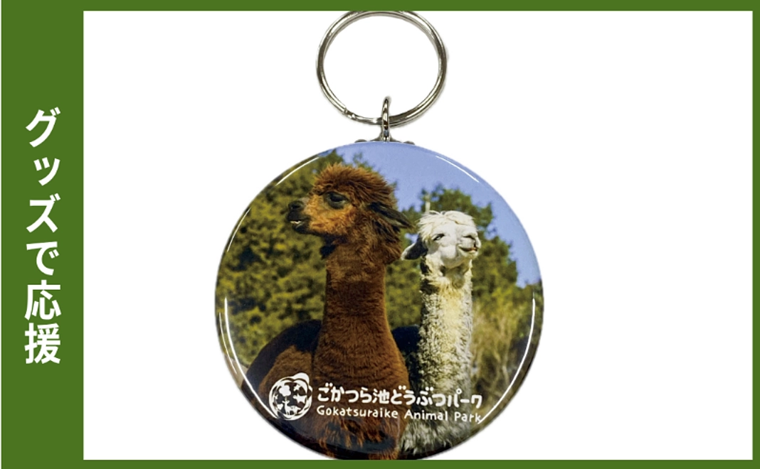グッズで応援｜缶キーホルダー（アルパカ）