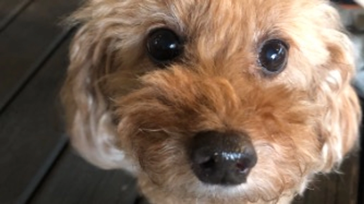 皆様ありがとうございます😭🙇‍♀️